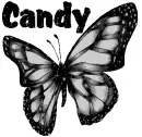 candy