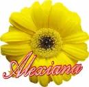 ALEXIANA