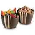Chocolate fruit cups