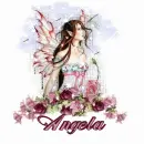 Angela - Fairy rose 