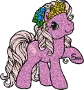 Beauty Pony