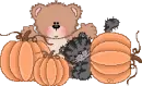 Cute Teddy Bear & Kitten With Pumpkins