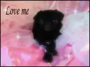 Love me