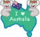 I Love Australia Cute Koalas