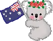 Cute Koala