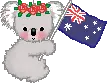 Cute Koala