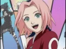 sakura