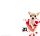THE DOG