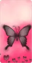 BLACK BUTTERFLY