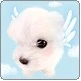 PUPPY ANGEL