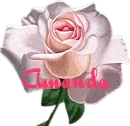 Amanda