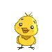 baby chick
