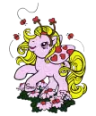 Pony
