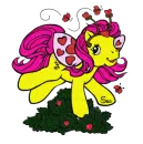 Pony