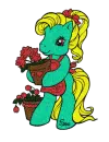 Pony