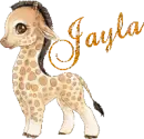 Name