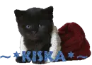 Name