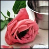 pink rose