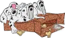 101 Dalmations