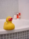 quack-quack 