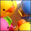 quack-quack 