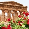 Ancient Greece