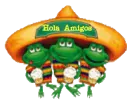 Hola Amigo