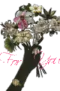 for you