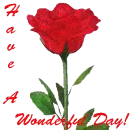 HAVE A WONDERFUL DAY ROSE