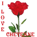 I LOVE CHEYENNE ROSE