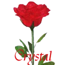 CRYSTAL ROSE