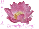 Have a Beautiful Day Lotus Flower