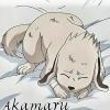 Akamaru