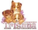Three Puppies Sparkled - Trishna 
