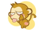 yoyocici