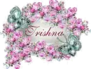 Trishna - Pink Rose Tag