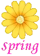 SPRING 