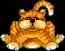 Fat orange cat