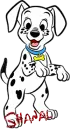 Shanal Dalmation