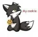 My cookie