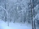 winter time