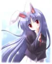 Bunny Girl 