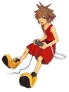 sora 