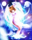 Anime swan