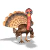 turkey