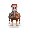 turkey
