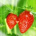 i love you! strawberries