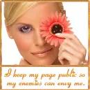 I keep my page public so my enemies can envy me - Think Spring Frame