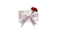 a note flying with love