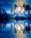 The moonlight